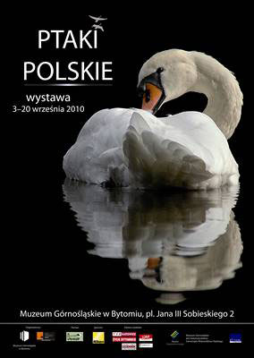 plakat_MGB-ptaki-polskie-----400